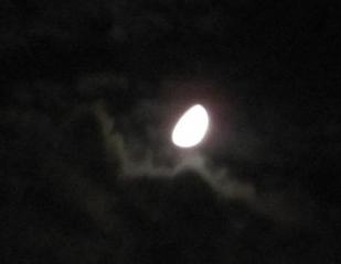IMG_1562.jpg