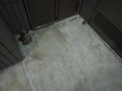 IMG_1568_convert_20110909030625.jpg