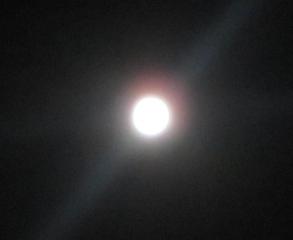 IMG_1579.jpg