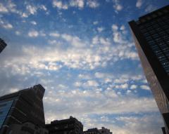 IMG_1662_convert_20111026010345.jpg