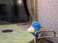 2011-9-23^27 北海道旅行 106