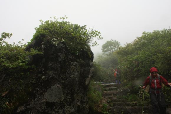 岩