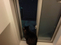 1325588882VtaGQ.gif