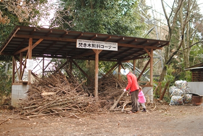 DSC_0407.jpg