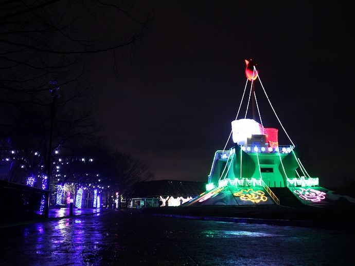 砺波チューリップ公園イルミネーション チューリップタワーの様子