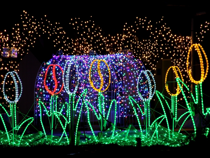 KIRAKIRAミッション 砺波チューリップ公園イルミネーション