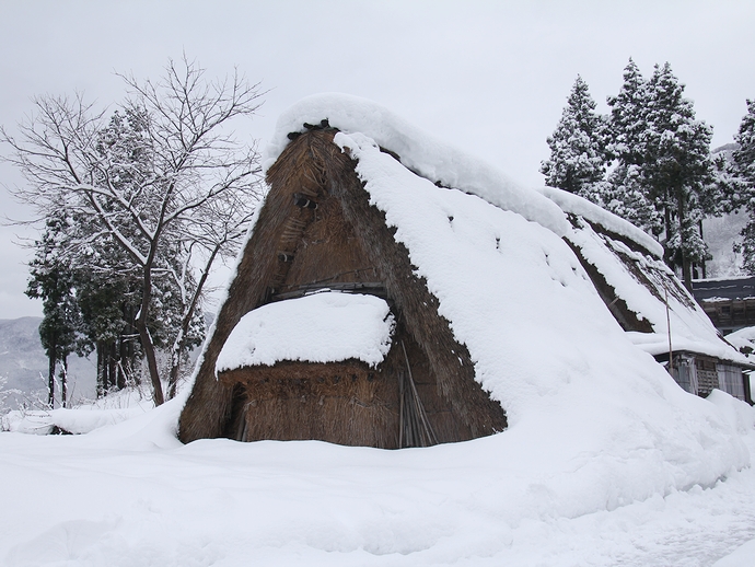 相倉の原始合掌造りと雪 相倉の原始合掌造りと雪