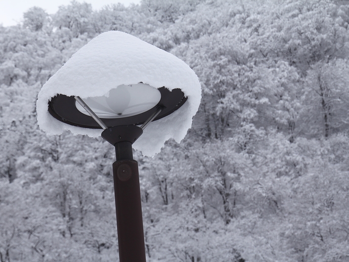 街灯にも雪の帽子(相倉合掌集落) 街灯にも雪の帽子(相倉合掌集落)