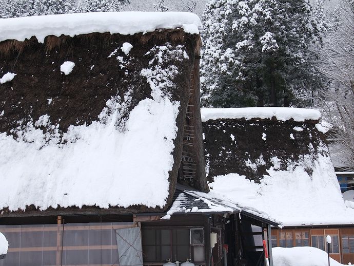 冬の相倉合掌集落 雪と伝統的家屋 冬の相倉合掌集落 雪と伝統的家屋
