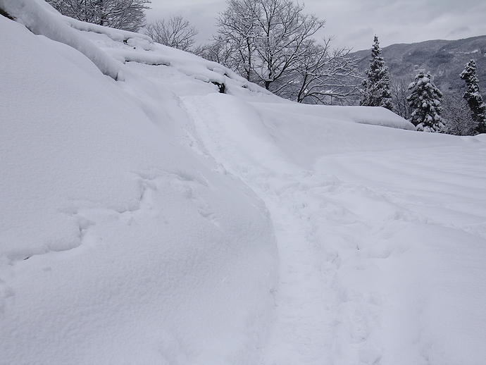 相倉合掌集落全景撮影スポットへの道(冬) 相倉合掌集落全景撮影スポットへの道(冬)