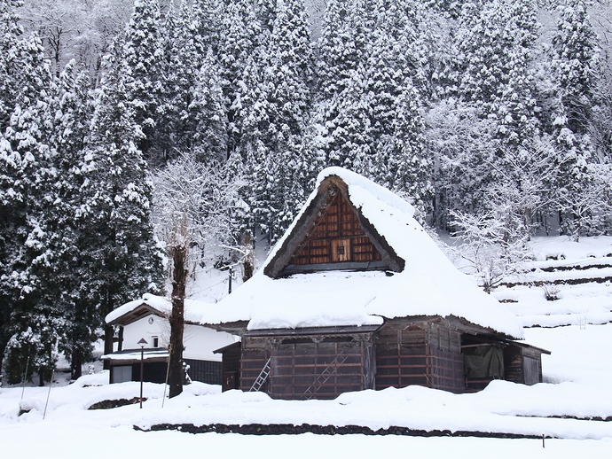 冬の相倉合掌集落 雪と伝統的家屋 冬の相倉合掌集落 雪と伝統的家屋
