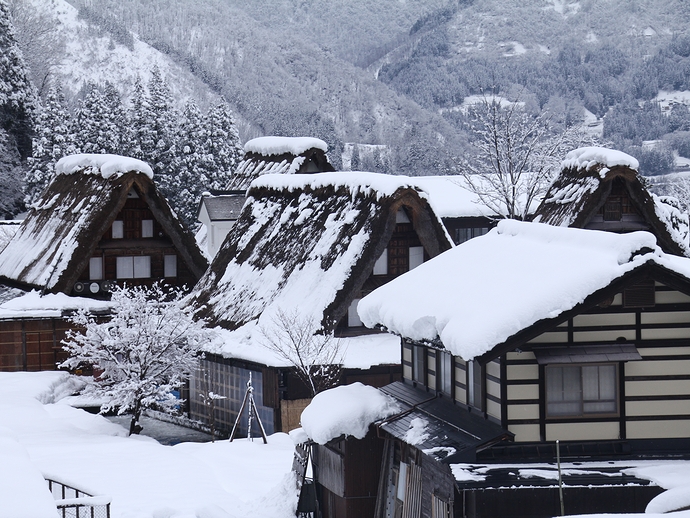 普通の屋根と合掌造りの屋根 相倉合掌造り集落 普通の屋根と合掌造りの屋根 相倉合掌造り集落