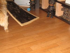 IMG_2815_convert_20111204003348.jpg