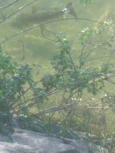 2014082720140913_01_02.jpg