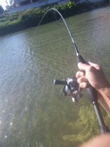 2014082720140913_01.jpg