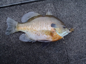 2014082720140915_01_01.jpg