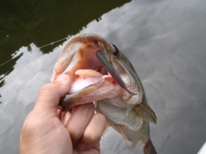 2014082720140915_01_03.jpg