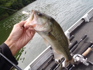 2014082720140915_01_04.jpg