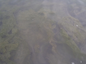 2014082720140920_01_04.jpg
