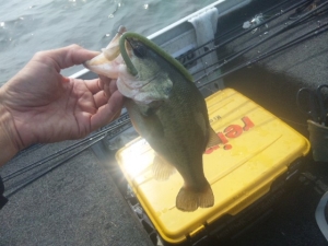 2014082720140923_01_01.jpg