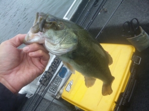 2014082720140923_01_02.jpg