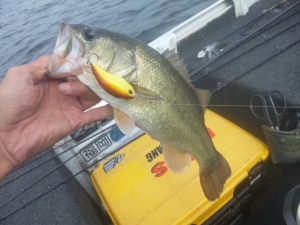 2014082720140923_01.jpg