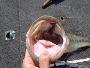2014082720140928_01_01.jpg