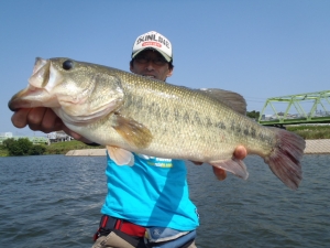 2014082720140928_01.jpg