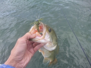 2014082720141004_01.jpg