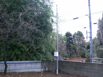 CIMG2264.jpg