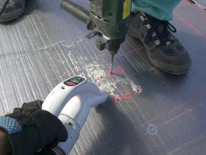 CIMG2353.jpg