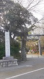 IMGP3229.jpg