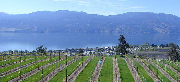 174719579_624.jpg