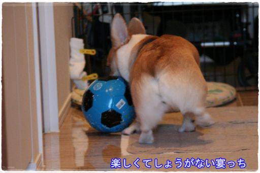 20131125-6A.jpg