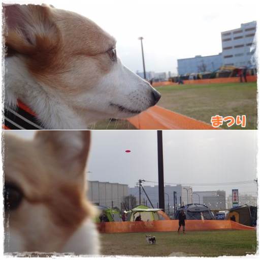 20131209-10.jpg