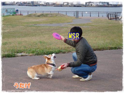 20131209-11.jpg
