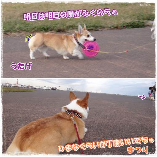 20131209-12.jpg