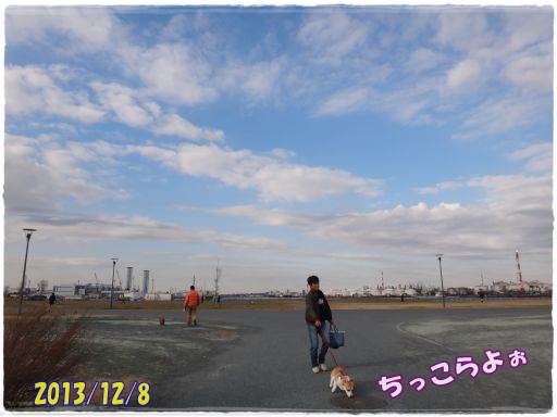 20131209-2.jpg