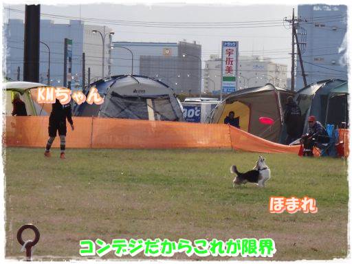 20131209-7.jpg