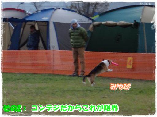 20131209-9.jpg