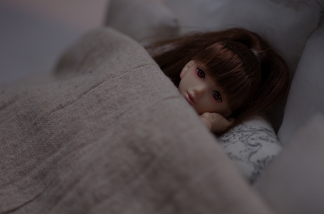 s-meirin 216