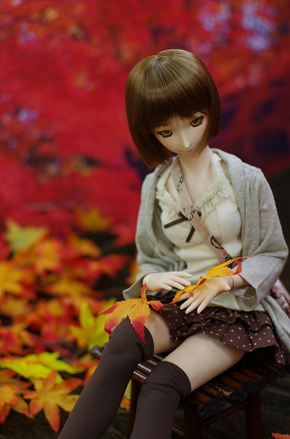s-meirin 219