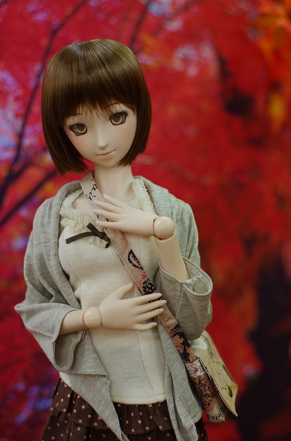 s-meirin 211