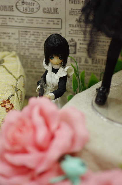 s-meirin 005