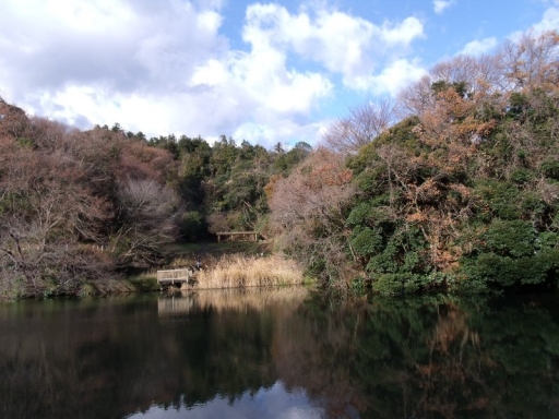 Dscf2094_1.jpg