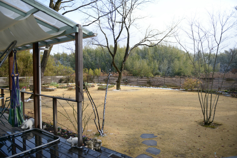 DSC_8988_01.jpg