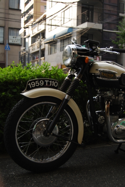 Tiger110