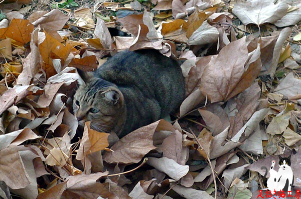 P1000340-2013-12-19.jpg