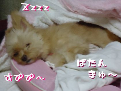 良いご身分ですこと。