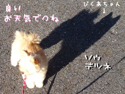 びくあちゃん登場